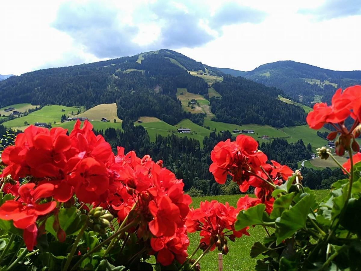Aussermooserhof Alpbach Exterior photo